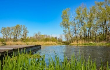 Wiosna w Brześciu Kujawskim!