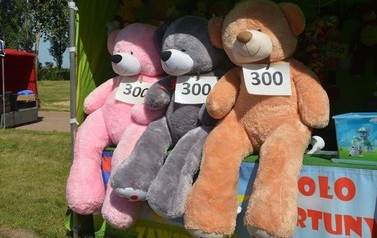 XI Święto Żuru Kujawskiego 67