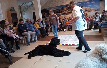 Dogoterapia dla dzieci 21