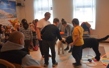 Dogoterapia dla dzieci 25