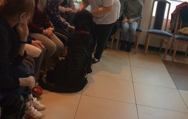 Dogoterapia dla dzieci 29