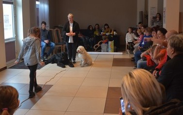 Dogoterapia dla dzieci 35