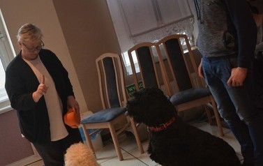 Dogoterapia dla dzieci 37