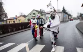Koza 2025  13