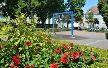 Kutyny wodne 4