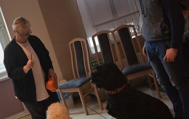 Dogoterapia dla dzieci 37