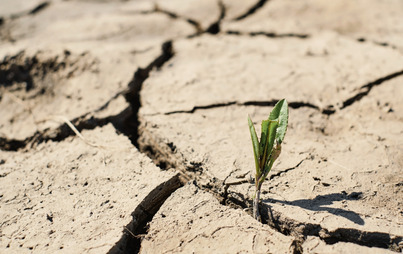 Zdjęcie do Uwaga Rolnicy, wprowadzono zmiany w sposobie szacowania strat spowodowanych suszą w 2023 r !!!