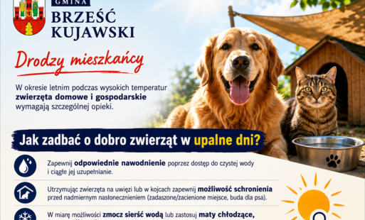 Zdjęcie do Jak zadbać o zwierzęta podczas upał&oacute;w? Najważniejsze zasady letniej opieki